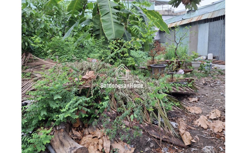 Đất vuông 189m², Đ.4m – Gò Dưa TĐ 4.x tỷ